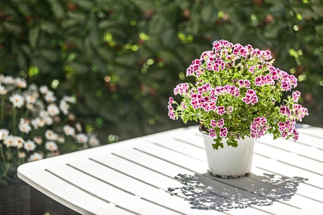הוילה קליארי Garden Sant'Avendrace מראה חיצוני תמונה